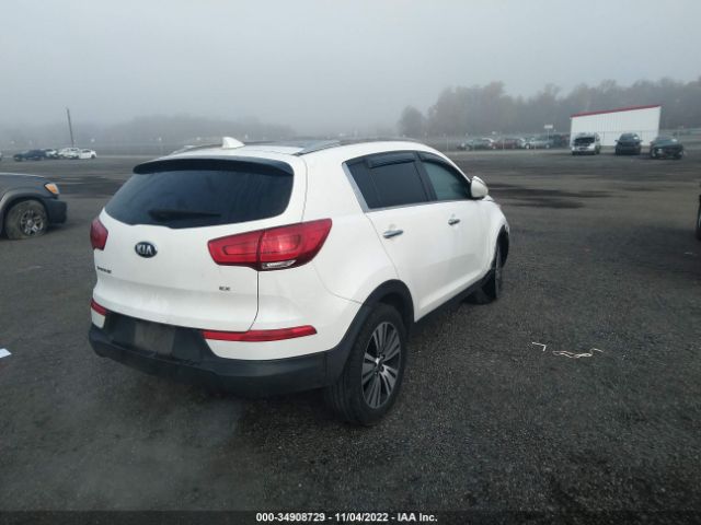 KNDPC3AC0F7771204 KIA Sportage