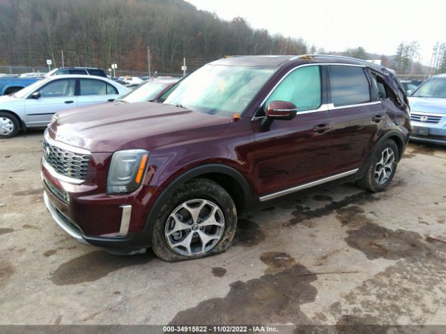 5XYP34HC8LG001083 KIA Telluride Ex