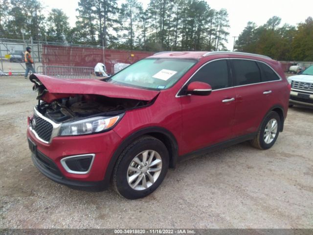 5XYPG4A31JG375126 KIA Sorento
