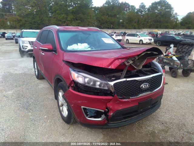 5XYPG4A31JG375126 KIA Sorento