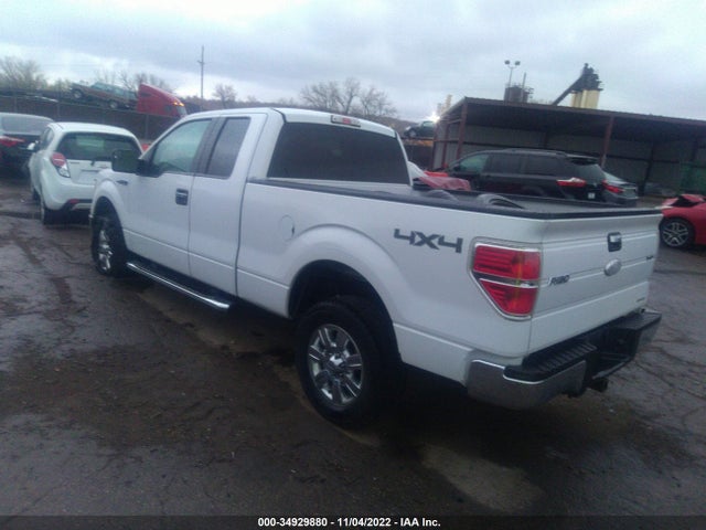 2012 FORD F-150 XL/STX/XLT VIN: 1FTEX1EM3CFA86294