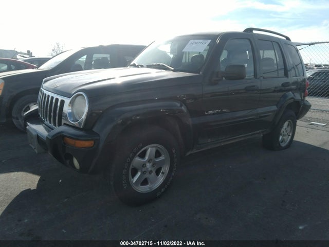 2002 JEEP LIBERTY LIMITED VIN: 1J4GL58K12W355939