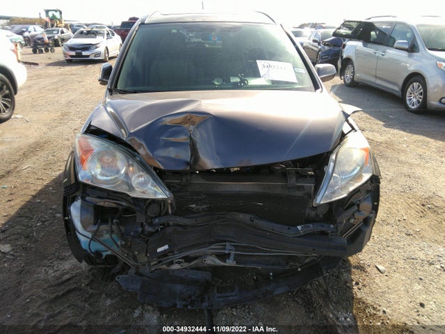 2010 HONDA CR-V EX-L VIN: 5J6RE4H75AL081282