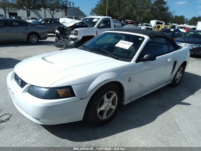2004 FORD MUSTANG DELUXE/PREMIUM VIN: 1FAFP446X4F171925