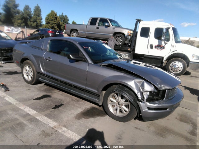 2006 FORD MUSTANG STANDARD/DELUXE/PREMIUM VIN: 1ZVFT80N565169581