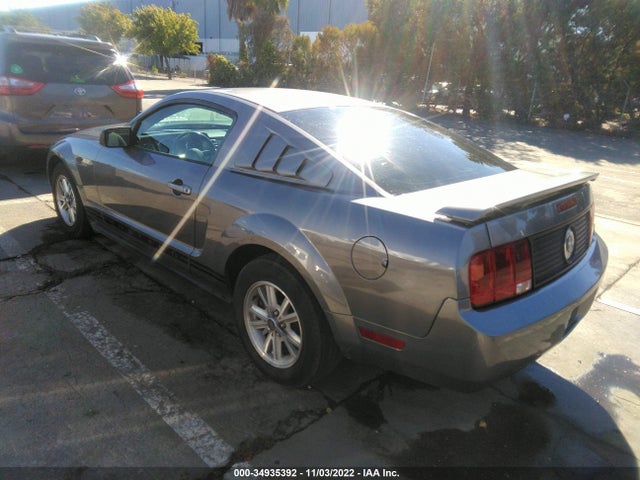 2006 FORD MUSTANG STANDARD/DELUXE/PREMIUM VIN: 1ZVFT80N565169581