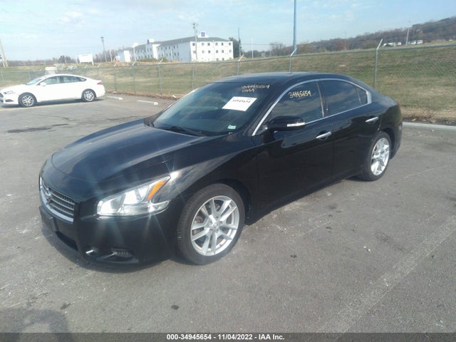 2010 NISSAN MAXIMA 3.5 SV W/PREMIUM PKG VIN: 1N4AA5AP5AC867149
