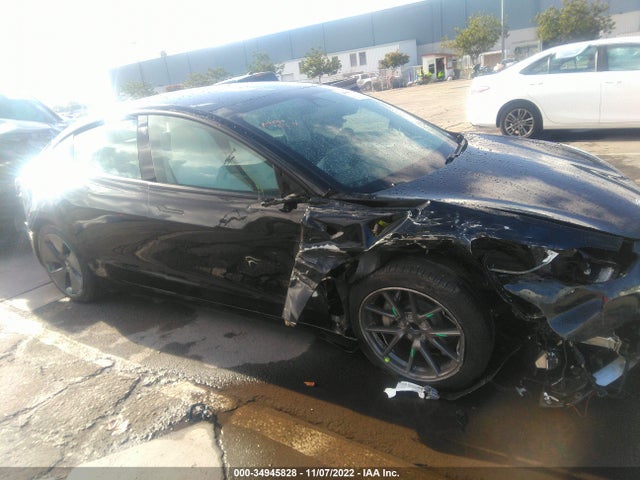 Tesla MODEL 3 2021 5YJ3E1EA8MF000762 Image 8