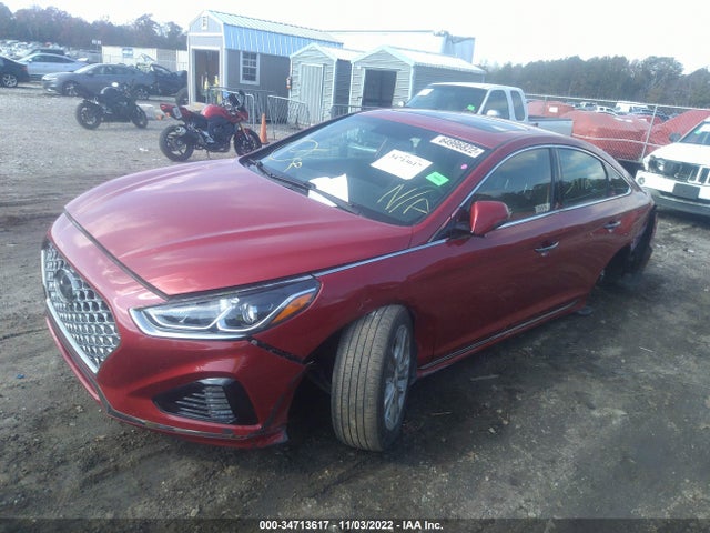 2019 Hyundai Sonata, VIN: 5NPE34AF6KH813825
