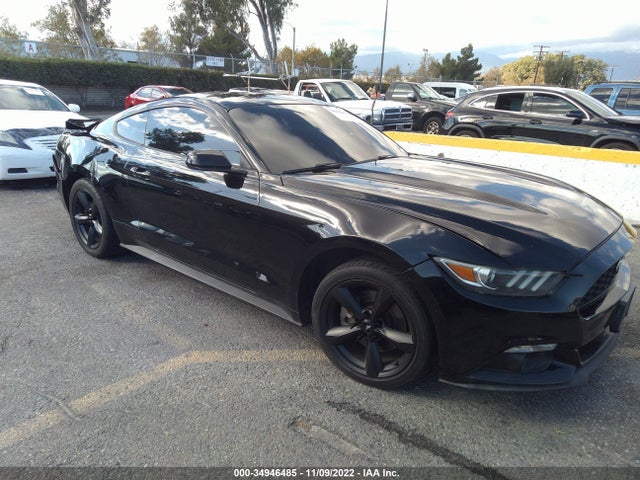 2015 Ford Fastback, VIN: 1FA6P8AM8F5371141