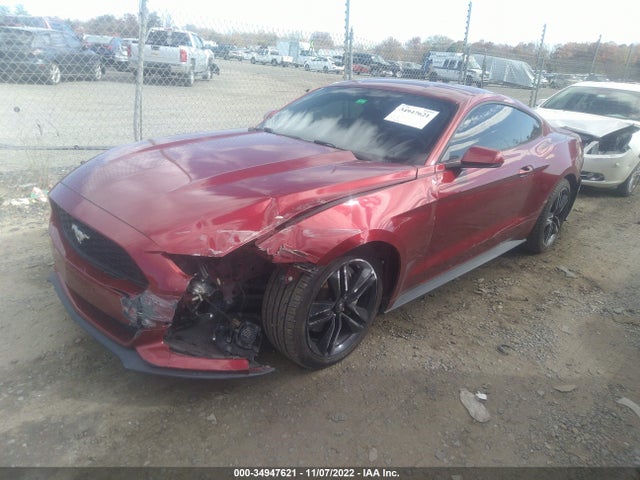2015 Ford Mustang, VIN: 1FA6P8THXF5340716