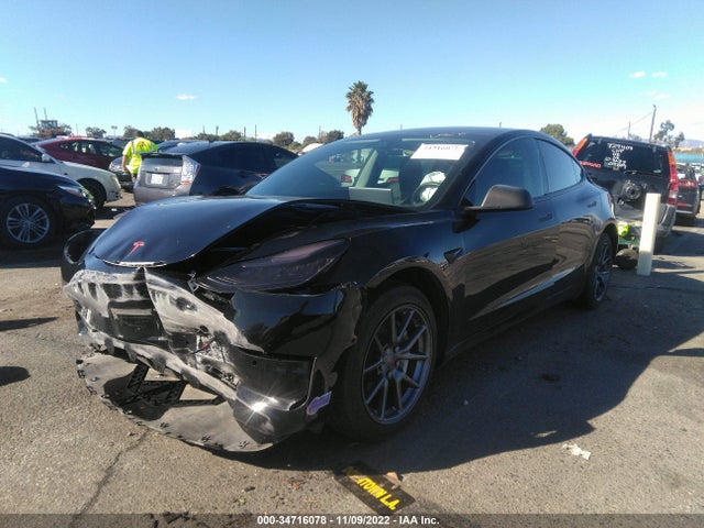 Tesla Model 3 Range 2019 5YJ3E1EA6KF324967 Image 2