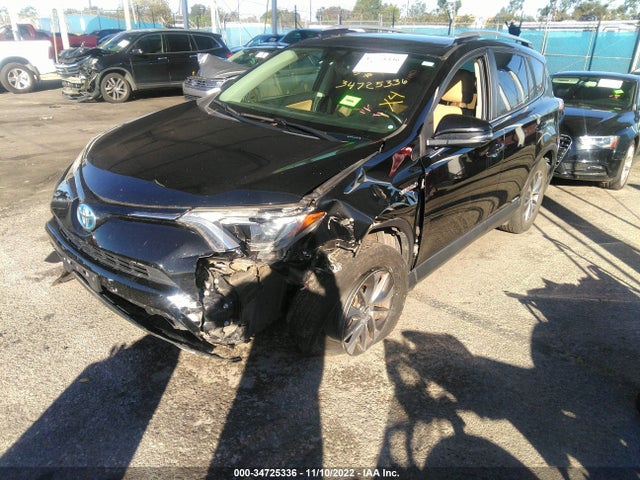 2016 Toyota RAV4, VIN: JTMRJREV1GD014506