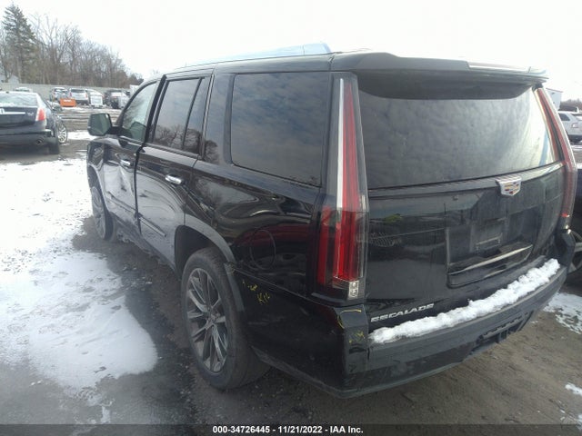 2020 Cadillac Escalade, VIN: 1GYS4BKJ4LR279431
