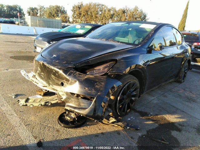 Tesla Model Y 2021 5YJYGDEE0MF195258 Image 2