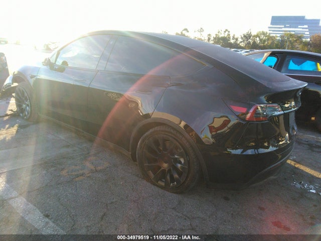Tesla Model Y 2021 5YJYGDEE0MF195258 Image 3