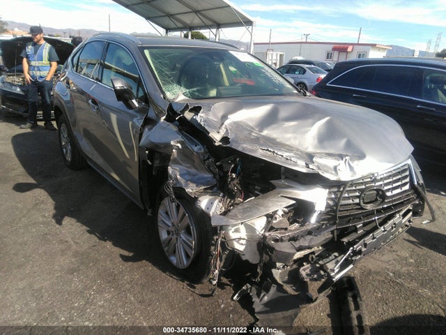 2020 Lexus NX, VIN: JTJAARBZ6L5020579