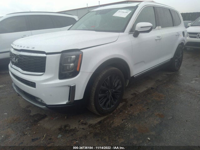 2022 Kia Telluride, VIN: 5XYP5DHC1NG224904