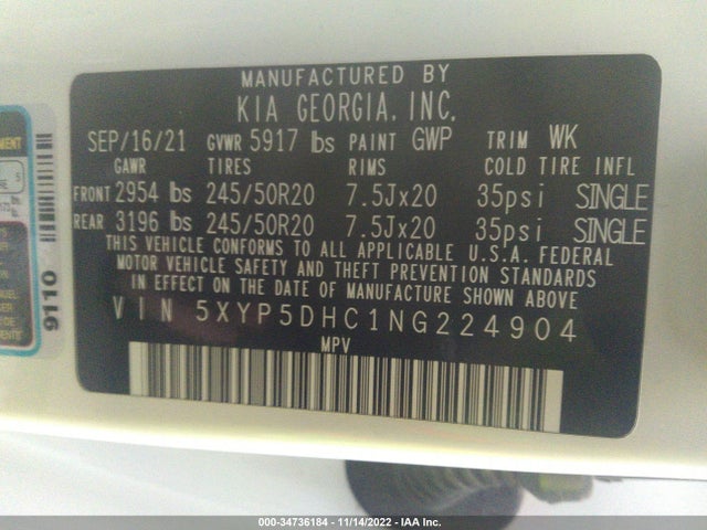 2022 Kia Telluride, VIN: 5XYP5DHC1NG224904