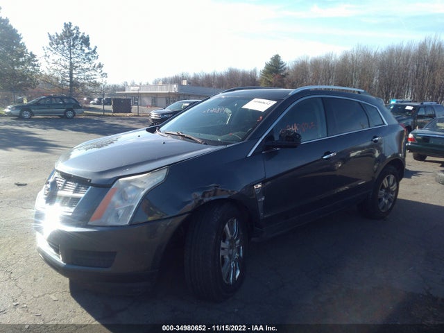 Cadillac Srx Luxury Collection 2010 3GYFNDEY5AS554740 Image 2