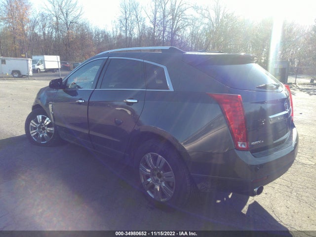 Cadillac Srx Luxury Collection 2010 3GYFNDEY5AS554740 Image 4