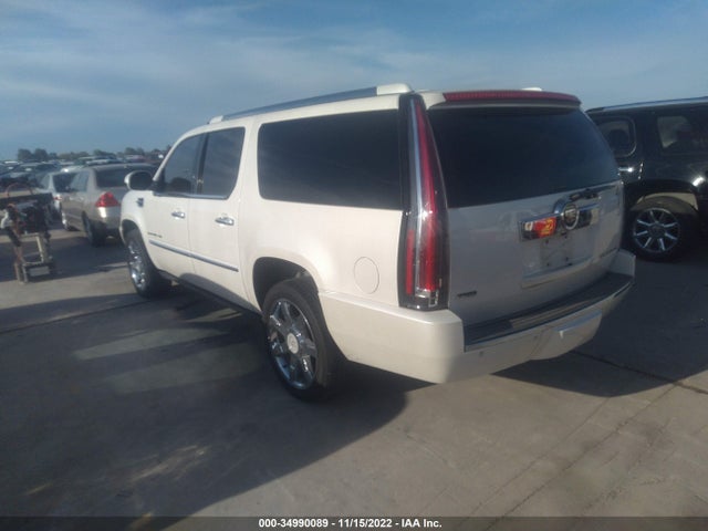 Cadillac Escalade Esv Premium 2010 1GYUCJEF5AR199436 Image 4
