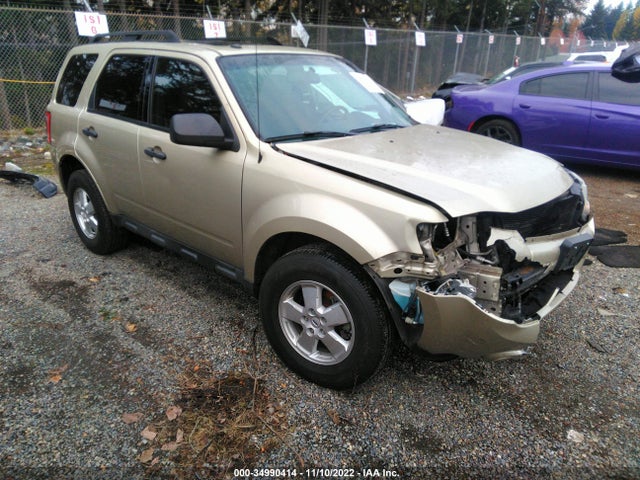 2011 FORD ESCAPE XLT VIN: 1FMCU0D72BKC11115