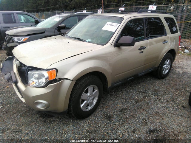 2011 FORD ESCAPE XLT VIN: 1FMCU0D72BKC11115