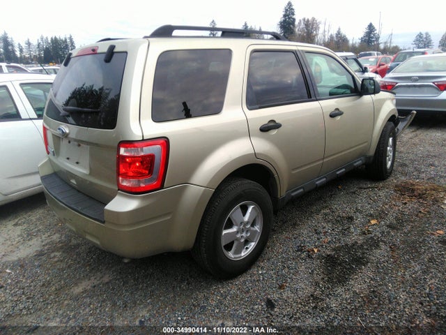 2011 FORD ESCAPE XLT VIN: 1FMCU0D72BKC11115