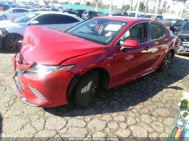 2019 Toyota Camry, VIN: 4T1B21HK8KU013200