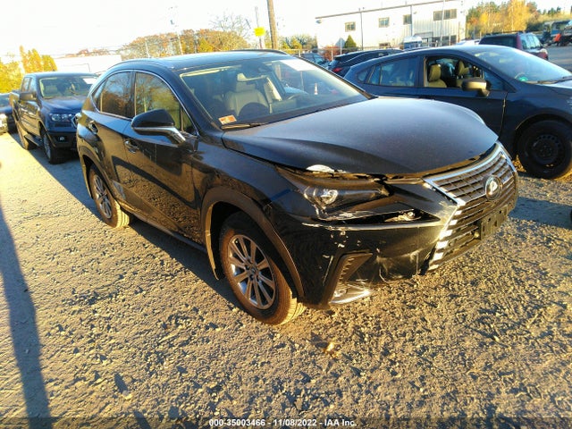 2020 Lexus NX, VIN: JTJDARDZ4L5008067