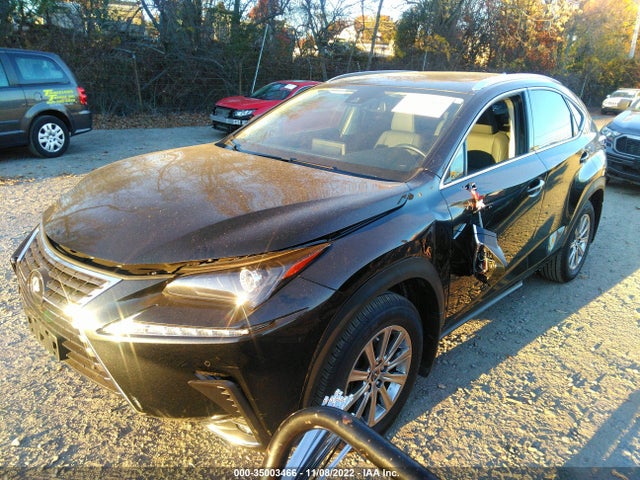2020 Lexus NX, VIN: JTJDARDZ4L5008067