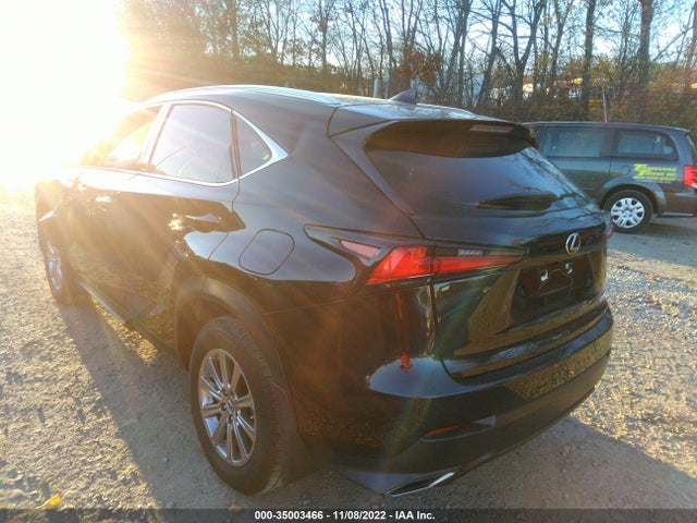 2020 Lexus NX, VIN: JTJDARDZ4L5008067