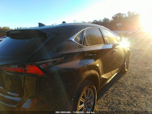 2020 Lexus NX, VIN: JTJDARDZ4L5008067