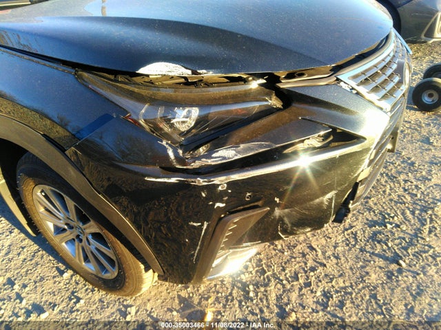 2020 Lexus NX, VIN: JTJDARDZ4L5008067