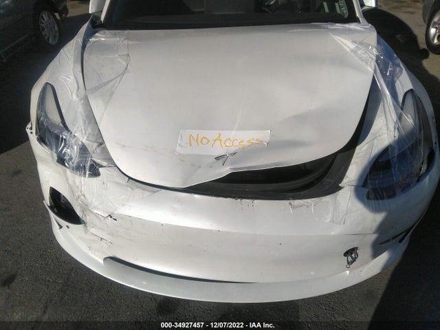Tesla MODEL 3 2020 5YJ3E1EA9LF806446 Image 11