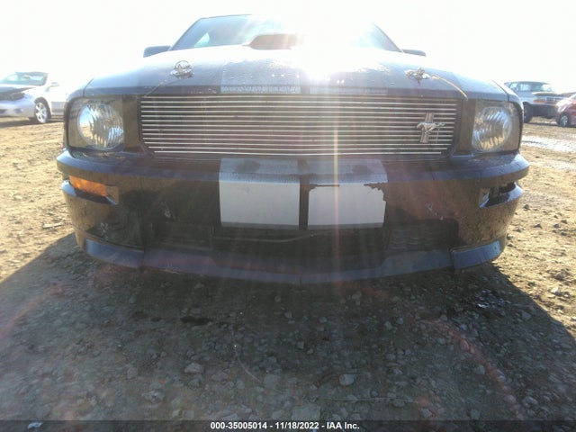 2007 FORD MUSTANG GT VIN: 1ZVHT82H675299595
