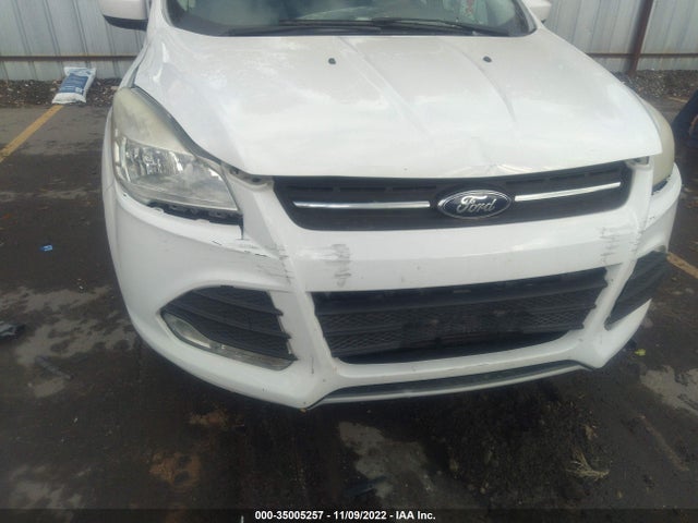 2015 Ford Escape, VIN: 1FMCU0G9XFUB50653