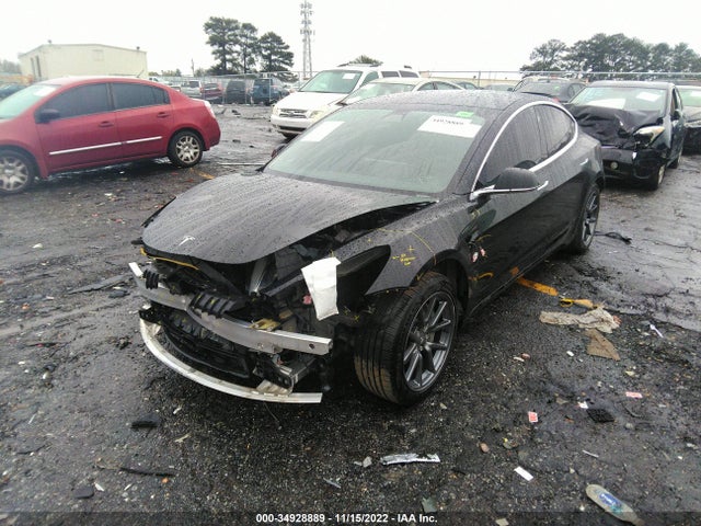 Tesla Model 3 Standard Range 2020 5YJ3E1EA4LF629952 Image 2