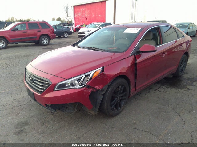 2015 HYUNDAI SONATA 2.4L SE VIN: 5NPE24AF8FH167583