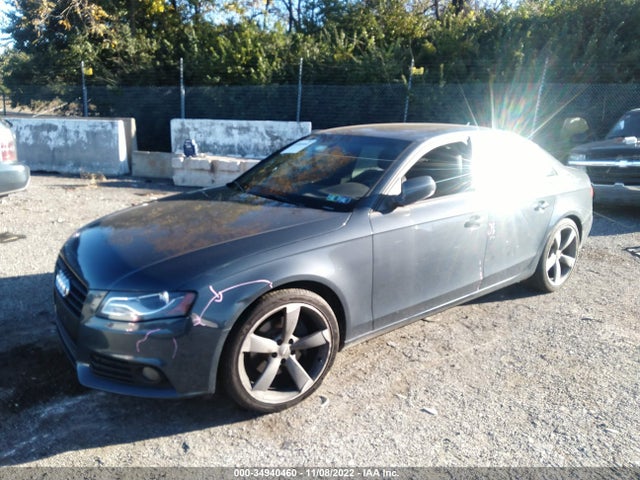 WAUEFAFL9BN040026 Audi A4 2.0t Premium Plus