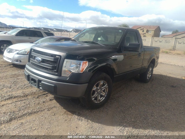 2013 FORD F-150 XL/STX/XLT VIN: 1FTMF1CM7DKF33865