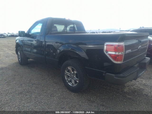 2013 FORD F-150 XL/STX/XLT VIN: 1FTMF1CM7DKF33865