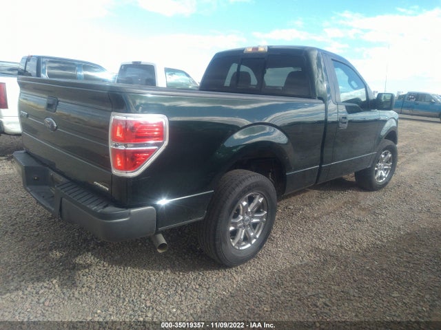 2013 FORD F-150 XL/STX/XLT VIN: 1FTMF1CM7DKF33865
