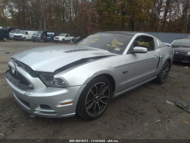 2013 FORD MUSTANG GT VIN: 1ZVBP8CFXD5216804
