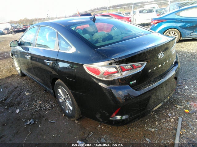 2019 Hyundai Sonata, VIN: KMHE24L3XKA091672