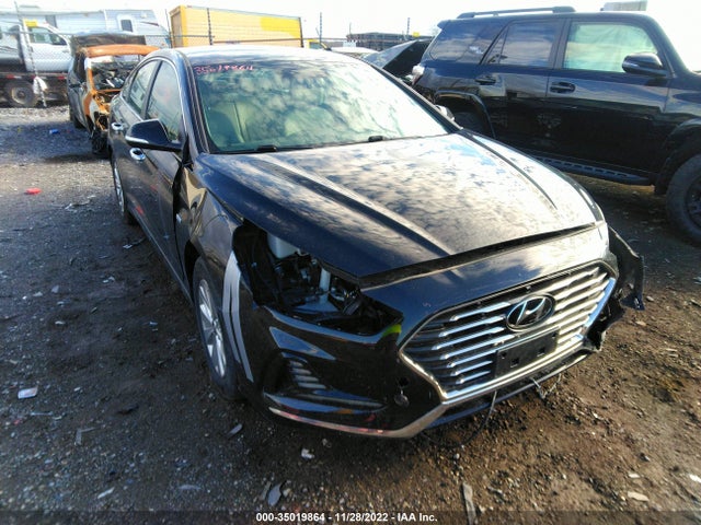2019 Hyundai Sonata, VIN: KMHE24L3XKA091672