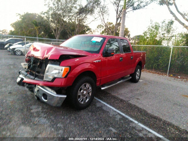 2010 FORD F-150 XL/XLT VIN: 1FTFW1CV6AFD86542