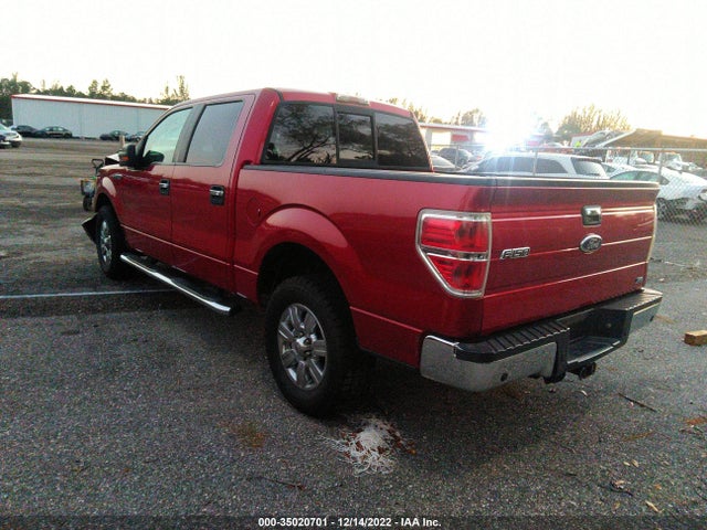 2010 FORD F-150 XL/XLT VIN: 1FTFW1CV6AFD86542