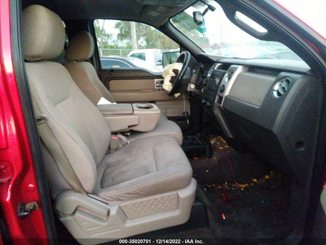 2010 FORD F-150 XL/XLT VIN: 1FTFW1CV6AFD86542